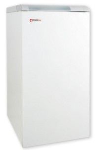 Газовый котел Protherm 40 ТLO (Медведь
