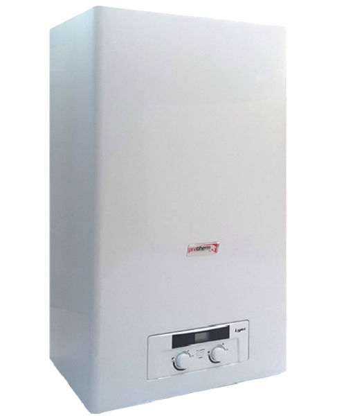 Газовый котел Protherm LYNX 28 (Рись)